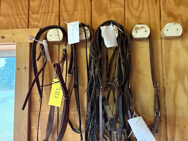 english-riding-head-stalls-image-2