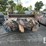 new-idea-215-image-5