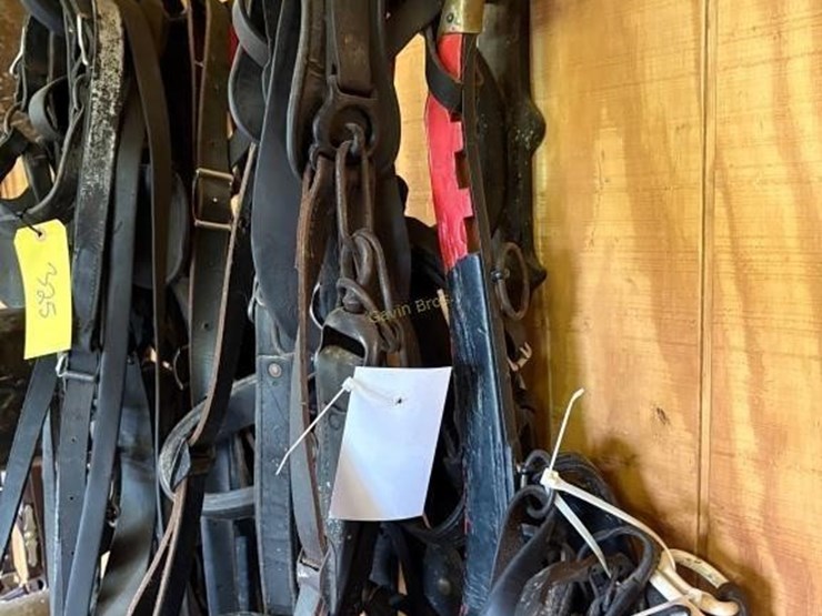 heavy-harness-for-1000lb-pair-image-4