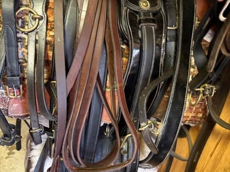 smuckers-show-driving-harness-image-4