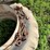 #5012-•-tractor-duals-image-14