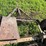#5025-•-buzz-saw-on-cart-image-11