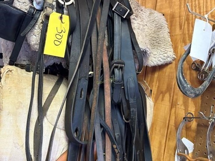 amish-style-horse-buggy-harness-image-2