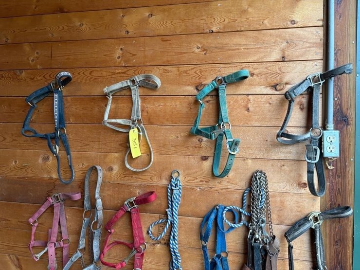 halters-&-lunging-lines-image-4