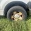 2007-ford-f150-xl-image-24