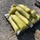 #1681-•-(14)-tubes-of-sand-image-4