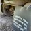 1993-great-dane-48-image-19
