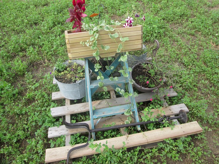 #5054-•-assorted-planters-image-3