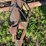 #5041-•-h-&-s-tandem-spreader-for-parts-image-15
