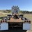 2009-kenworth-t800-image-6