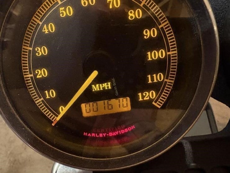 2003-100th-anniversary-edition-xlh-1200-sportster-image-5