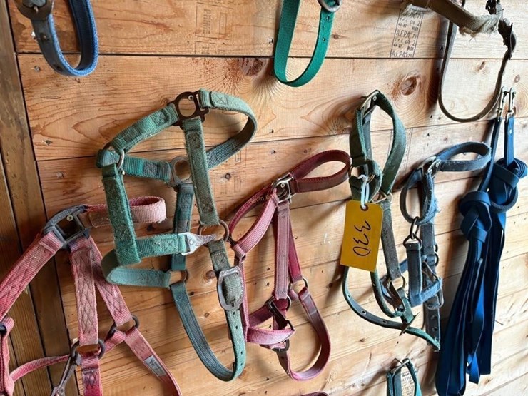 halters-&-driving-lines-image-3