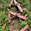 #5020-•-ih-56-no-till-coulter-brackets-image-11