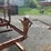 #129-•-ez-boardwalk-14-6-portable-bandmill-image-20