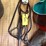 english-bridle-image-5