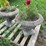 #5056-•-(2)-concrete-urns-image-2