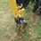 2023-caterpillar-300.9d-image-18