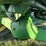 john-deere-4455-image-47