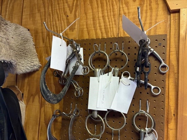 assorted-bits,-snaffles,-curb-bits-etc-image-2