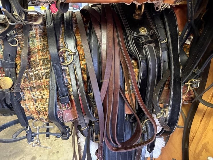 smuckers-show-driving-harness-image-3