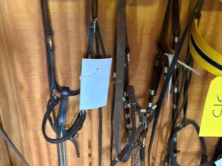 (2)-in-hand-show-bridles-&-(2)-halters-image-3