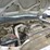 2005-ford-f550-image-20