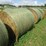 #5033-•-(18)-second-crop-round-bales-image-6