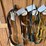 english-riding-head-stalls-image-5
