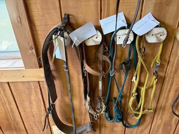english-riding-head-stalls-image-5