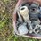 #5076-•-assorted-plumbing-fittings-image-9