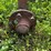 #5018-•-running-gear-for-parts-image-9