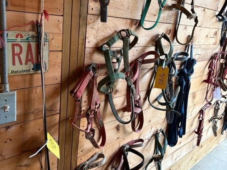 halters-&-driving-lines-image-1