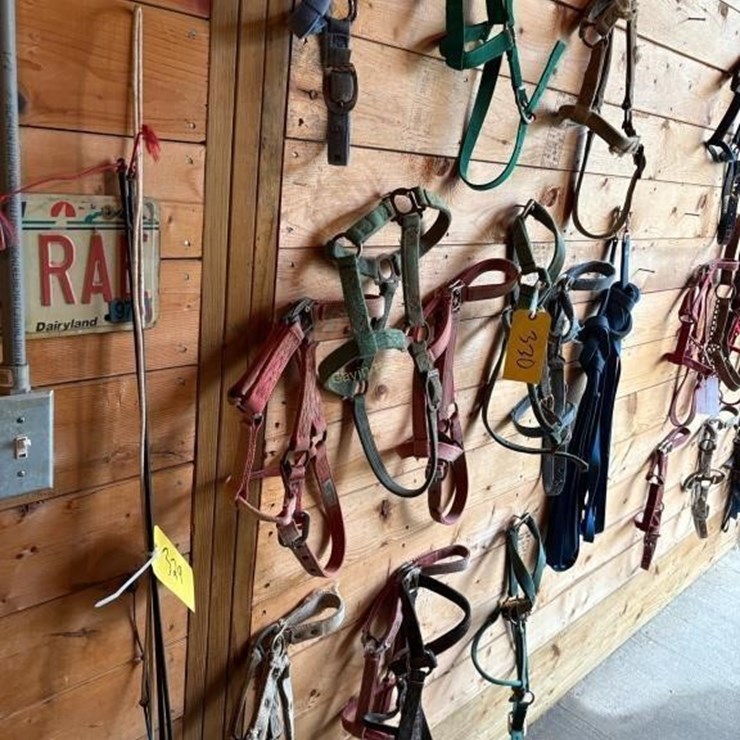 Halters & Driving Lines