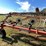 #1670-•-h&s-hi-capacity-wheel-rake-image-17