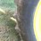 john-deere-4555-image-31
