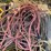 #5068-•-pallet-of-extension-cords-image-12