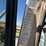 2009-kenworth-t800-image-81