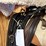 amish-style-horse-buggy-harness-image-4