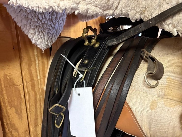amish-style-horse-buggy-harness-image-4