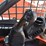 2017-kubota-ssv65-image-35