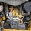 2019-caterpillar-262d-image-20
