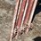 #1982-•-(12)-walk-through-scaffolding-rings-image-3