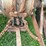 massey-ferguson-65-image-23