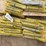 (approx-25)-unused-landhonor-pins-image-1