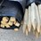 #1964-•-wood-stakes-and-tarp-fencing-image-3
