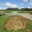 #5033-•-(18)-second-crop-round-bales-image-3