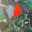 2018-john-deere-5055e-image-21