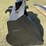 cat-fussion-image-3
