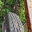 #5025-•-buzz-saw-on-cart-image-13