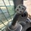 2016-caterpillar-289d-image-30
